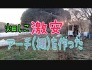 畑に激安アーチ(棚)を作った