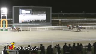 第48回スプリングカップ セブンカラーズ
