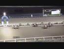 2023年2月28日高知競馬5R 井上家協賛 祝！瑛太誕生日特別(C3-2組) サクラルーフェン