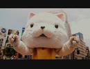 428 ～封鎖された渋谷で～【実況#4】渋谷のネコ
