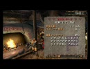 【MHP2G】アカムトルムにギャーギャー焼肉されてくる動画