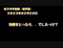 紅子の宇宙船 －音声版－ 2023年02月28日