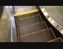 たまプラーザ改札へのエスカレーター下り〜HITACHI製