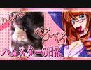 キッキのハムスターちゃんの日常。2