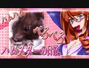 キッキのハムスターちゃんの日常。3