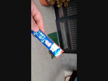 寝ている猫にチュールをみせてみた