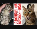 草食系次男坊猫、覚醒の第二形態に進化する