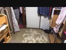100万円ドッキリ