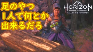 【実況】助けがいの無いヤツと遭遇＃２【Horizon Call of the Mountain】