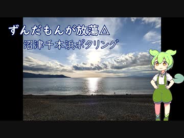 【自転車車載】ずんだもんがほうとう△　沼津千本浜ポタリング