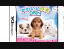 対馬犬がDSのカセットで発見される。