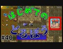 【風来のシレン5Plus】#40 トドー！おまえの出番だ！【風来のシレン初プレイ(天上の池編)】