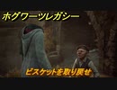 ホグワーツレガシー　ビスケットを取り戻せ　ストーリー攻略　＃７５　【Hogwarts Legacy】