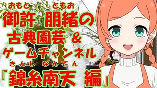 御許 朋緒（おもと ともお）の古典園芸チャンネル『錦糸南天 編』