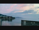 桜の海 / 深海のこぎり