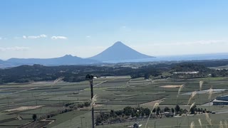 夢ねこ世界を喰らう #116 広島と鹿児島旅行 2023年2月