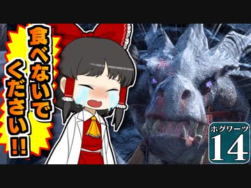 【ミリ知らホグワーツ#14】ハリー・ポッターを１ミリも知らない霊夢博士のホグワーツ レガシー【Hogwarts Legacy】【ゆっくり実況】