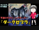 【遊戯王】タジのデュエルルーム_OCG雑談『ダークゼブラ』