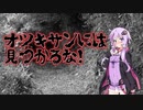 オツキサンにはみつかるな！(#特選怖い話/#voiceroid怪談/#結月ゆかり/#本当にあった怖い話/#朗読/#水野くろ)