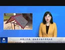 政策に不満、富裕層は海外移民加速