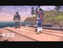 【プレイ動画】PokemonLEGENDS アルセウス【part25】