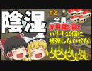 【マリオカート8DX】陰湿2人組マリカ【ゆっくり実況】#2