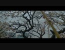 大阪城の梅林【雨】