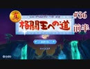 【真・格闘王への道】星のカービィwiiデラックスを久々の実況でGO!【実況プレイ】#36 前半