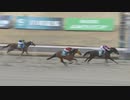 2023年3月2日川崎競馬9R ２０２２レディスジョッキーズシリーズ川崎 第２戦(C2選定牝馬) グローリアスゾスマ