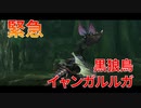 【実況】ぼっちハンターが行く！モンスターハンターXX第29回