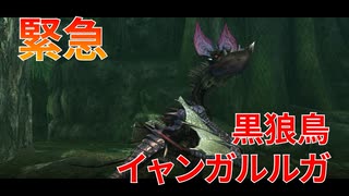 【実況】ぼっちハンターが行く！モンスターハンターXX第29回