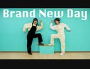 【りんびす】Brand New Day 踊ってみた【Bscrym】