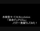 【叩いてみた】水樹奈々×T.M.Revolution「革命デュアリズム」ノリで一発撮りしてみた！（Drum cover）
