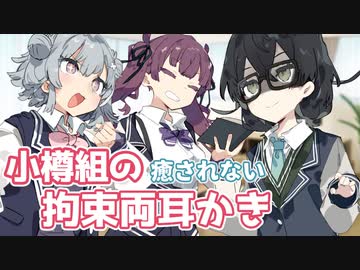 【ASMR】小樽組の癒されない拘束両耳かき【微ｺｯｼｮﾘ注意】