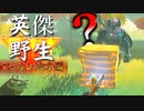 【実況】英傑 vs 野生｜アッカレ地方編 後編 【ゼルダの伝説 ブレス オブ ザ ワイルド】【Season2】
