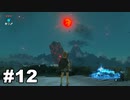 【ゆっくり実況】ゼルダの伝説BotW 4縛り#12