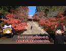 なぜ京都の紅葉は日本一美しいか？【京都の紅葉映像】