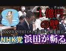 【浜田が斬る】１億円の壁の穴【国会審議切り抜き】