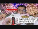 【お花見】ミスドの桜もちっとドーナツで食べるお花見をしてみたいですか？