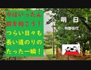 今月は大変な年度末、体力をできるだけ温存することに全力を尽くして!!【音楽　元気になる　やる気が出る】SO-RADI ぐだふわニャンニャン　2023年3月4日　vol.25