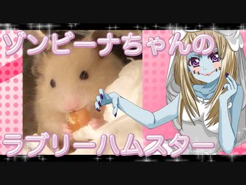 ゾンビーナのハムスターの日常。5