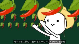 【生物】カモメに辛いお菓子をあげると、辛さを感じるのか？