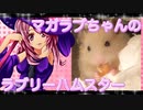 マガラブのハムスターの日常5