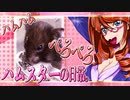 キッキのハムスターちゃんの日常。4