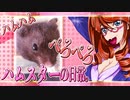 キッキのハムスターちゃんの日常。６