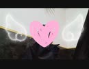 【歌ってみた】Lap Tap Love/koyori