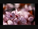 [TRANCE] Mixed by aki 2023/03/04