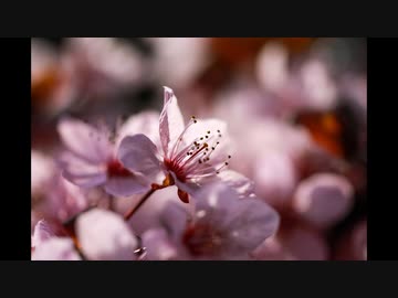 [TRANCE] Mixed by aki 2023/03/04