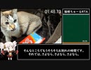 猫様 ちゅーるRTA