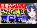 【城プロネタ動画】上級忍者がウザいなぁ…せや！[夏]烏城で隠密貫通すればばええやん！【御城プロジェクト:RE】